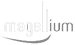 Magellium logo